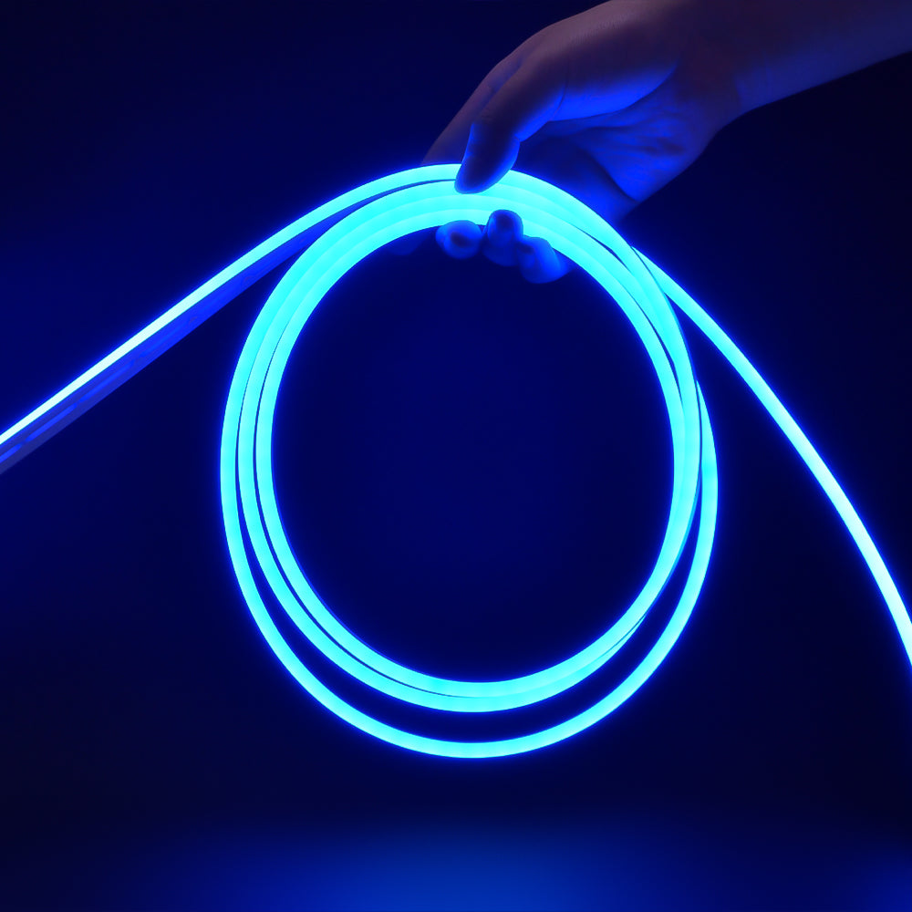 Neon Rope Lights